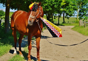 开云官网-欧洲网球队险胜德国网球队，纳达尔制霸全场