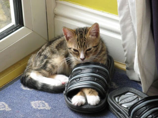 三声终场哨，切尔西用烂泥缠住枪手，争冠剧本被踩进斯坦福桥的雨夜